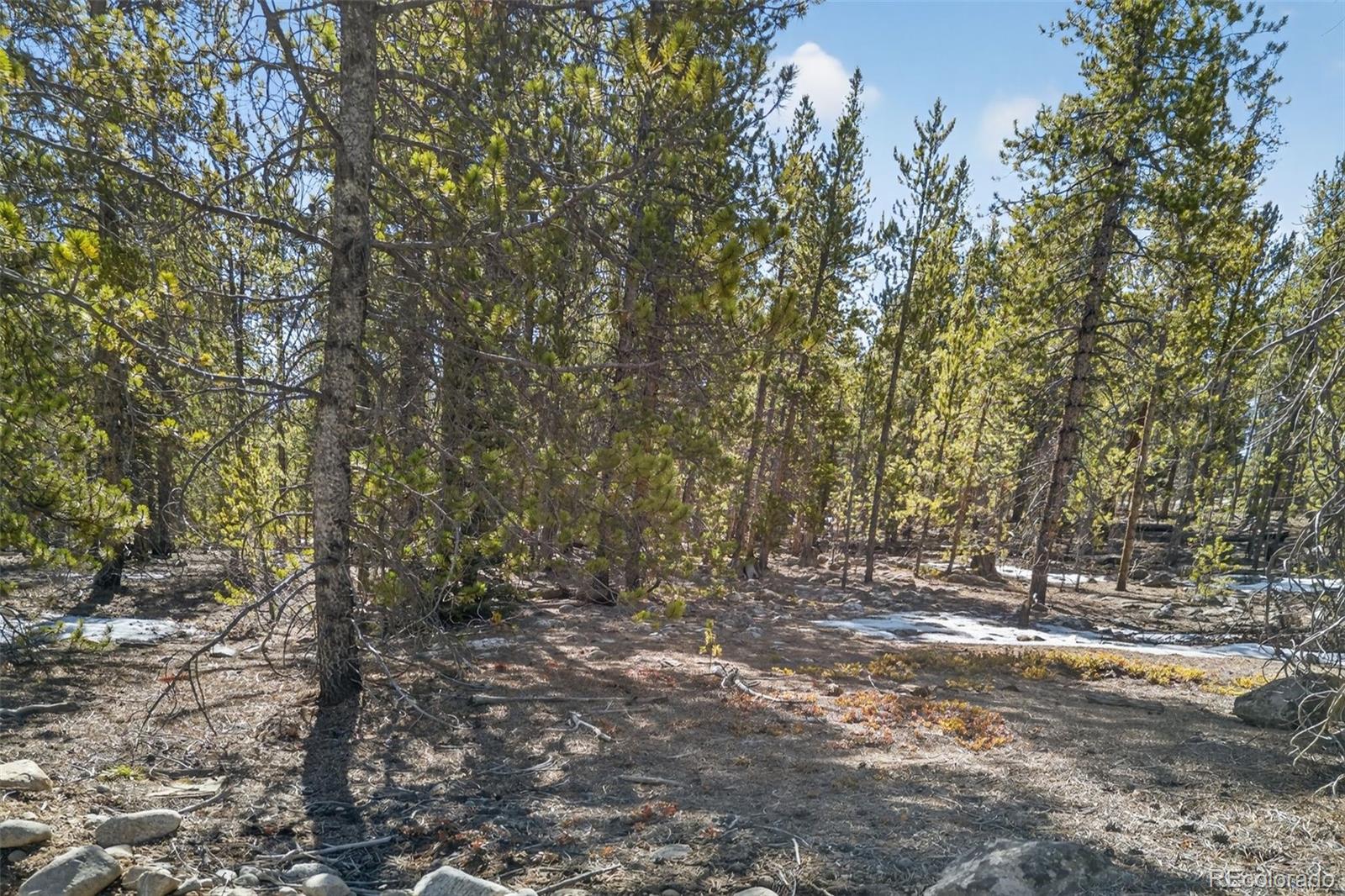 312 Mount Massive Road Twin Lakes CO 81251