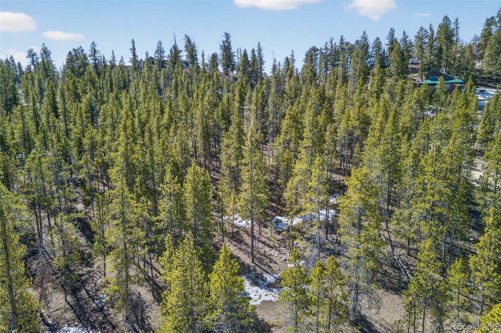 312 Mount Massive Road Twin Lakes CO 81251