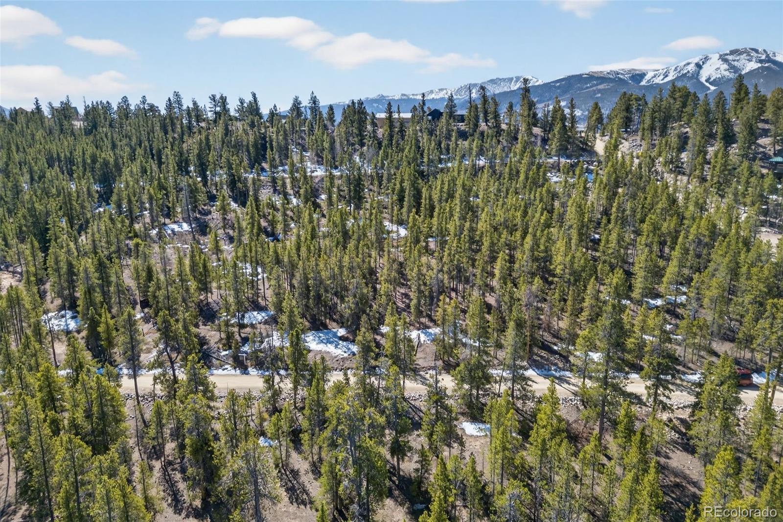 312 Mount Massive Road Twin Lakes CO 81251