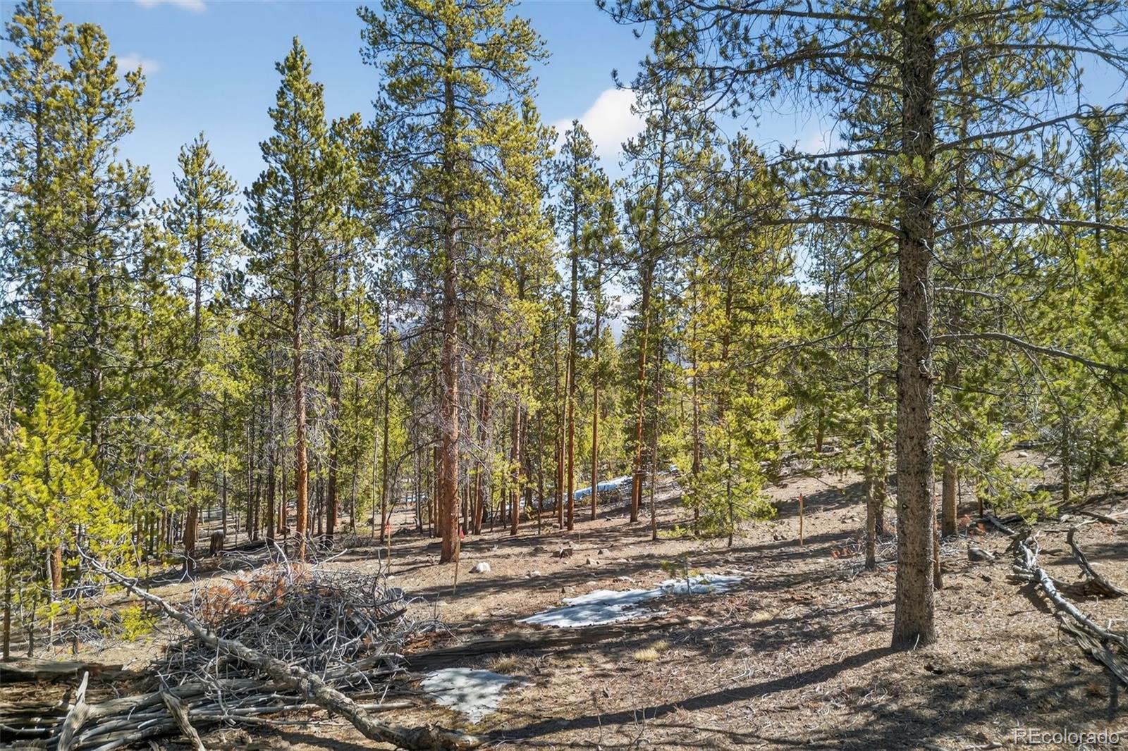 312 Mount Massive Road Twin Lakes CO 81251