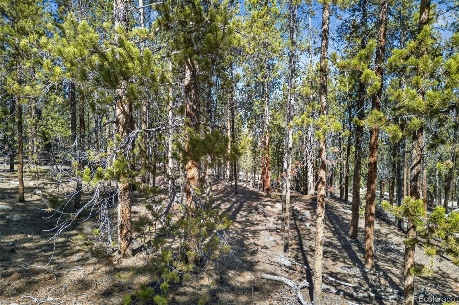 312 Mount Massive Road Twin Lakes CO 81251