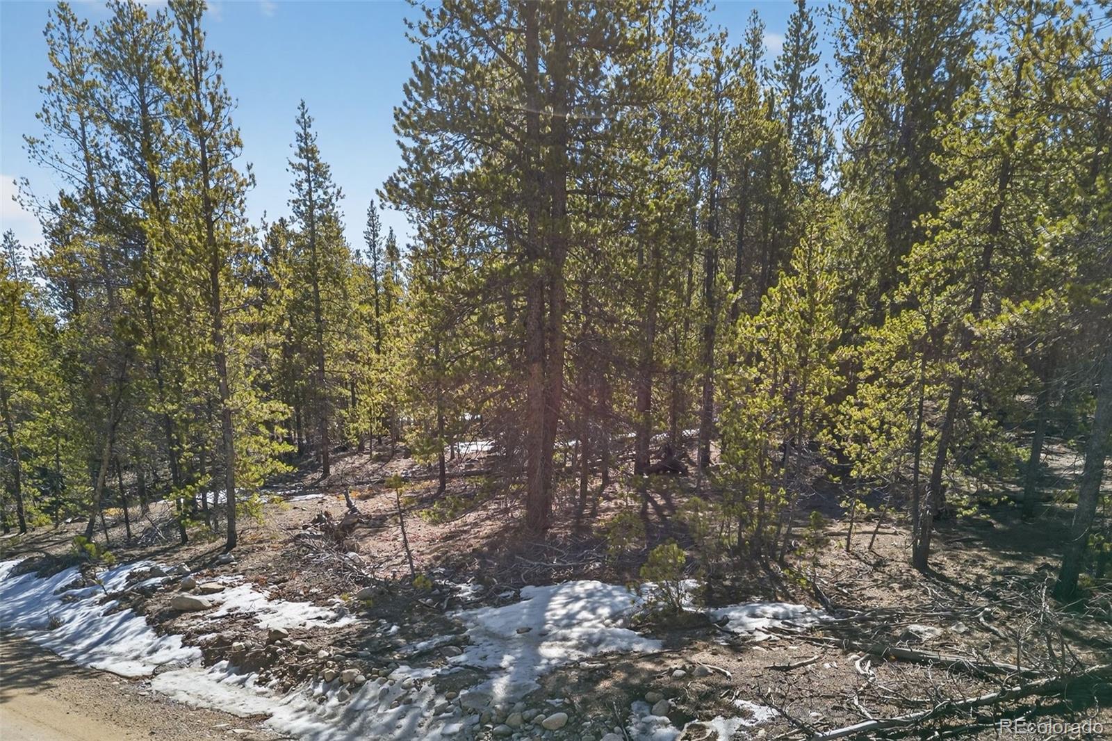 312 Mount Massive Road Twin Lakes CO 81251