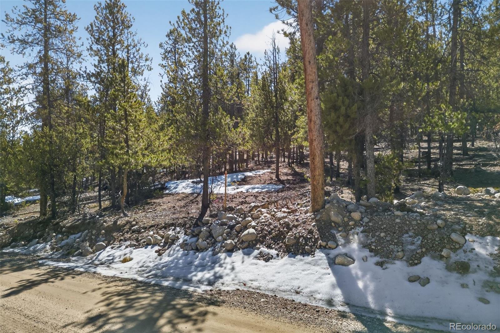 312 Mount Massive Road Twin Lakes CO 81251