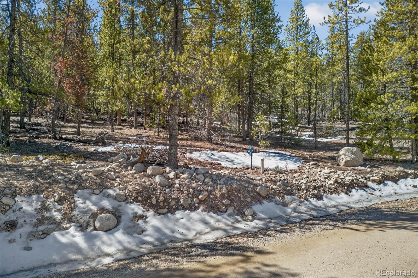 312 Mount Massive Road Twin Lakes CO 81251