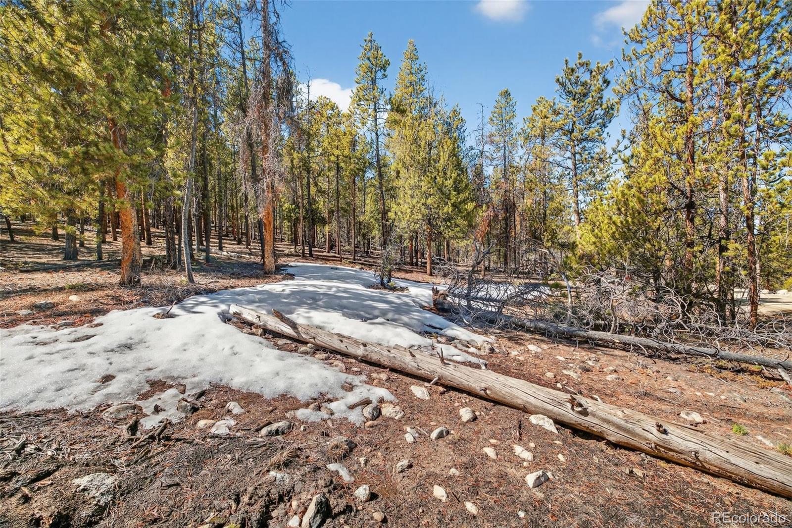 312 Mount Massive Road Twin Lakes CO 81251