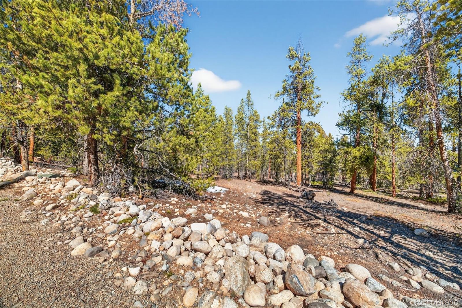 312 Mount Massive Road Twin Lakes CO 81251