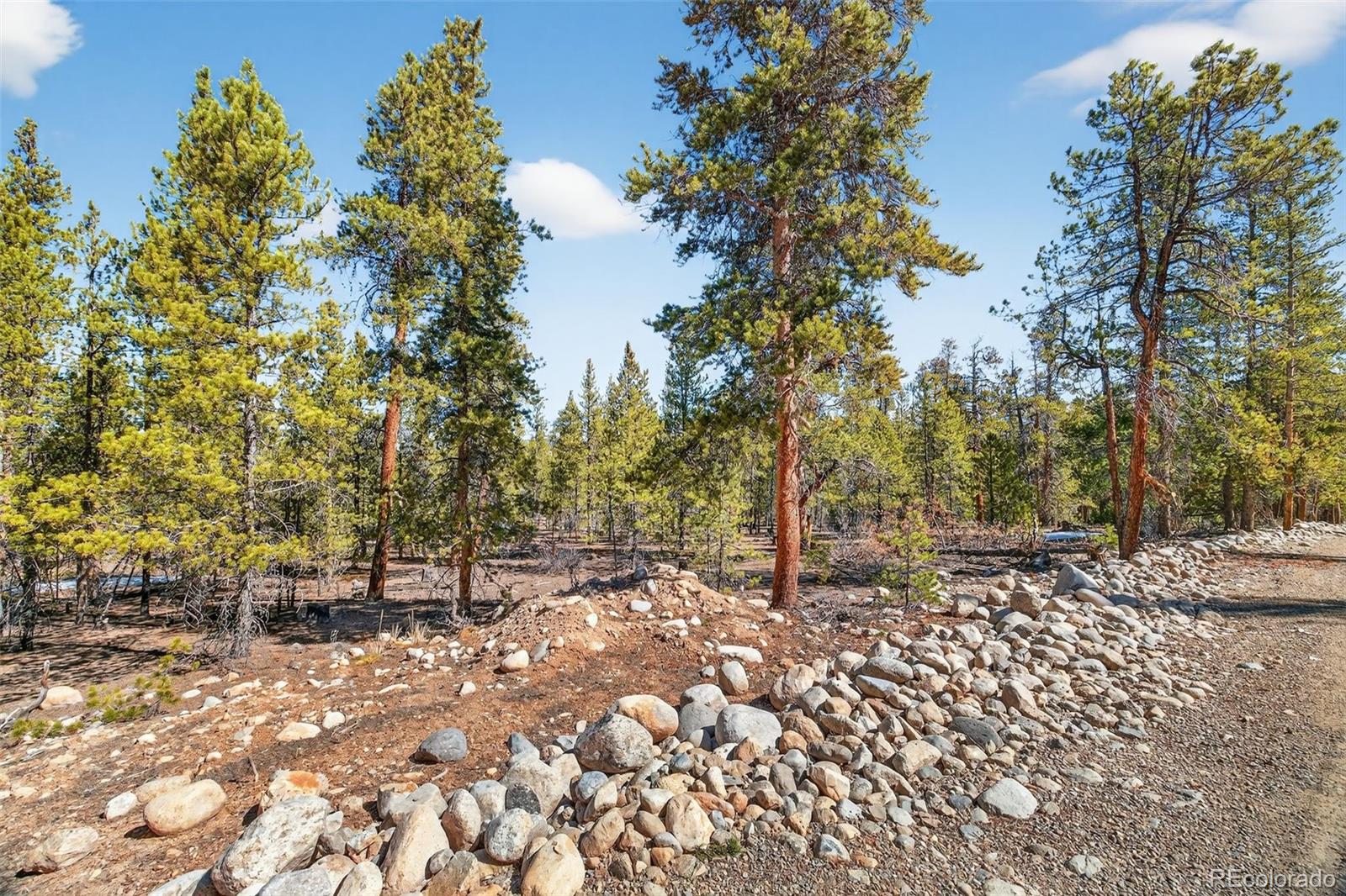 312 Mount Massive Road Twin Lakes CO 81251