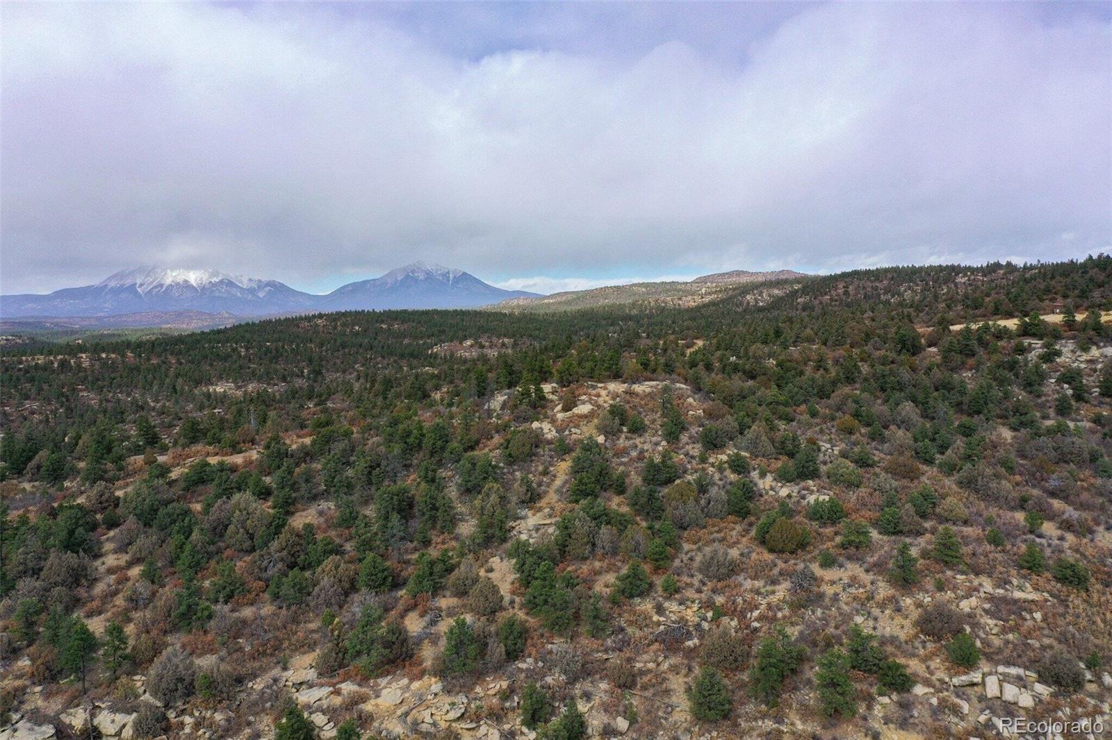 15585 Arrowhead Road Weston CO 81091