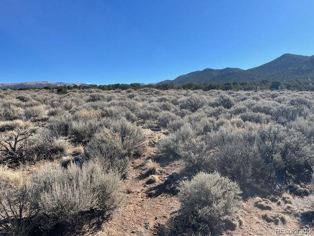 Lot 1188 Fleck Road Fort Garland CO 81133