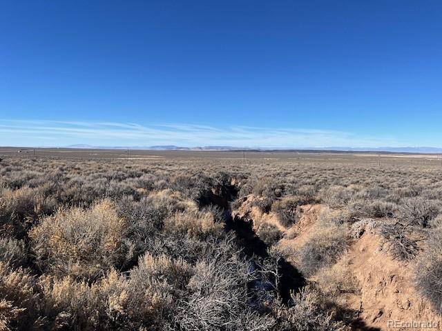 Lot 1188 Fleck Road Fort Garland CO 81133