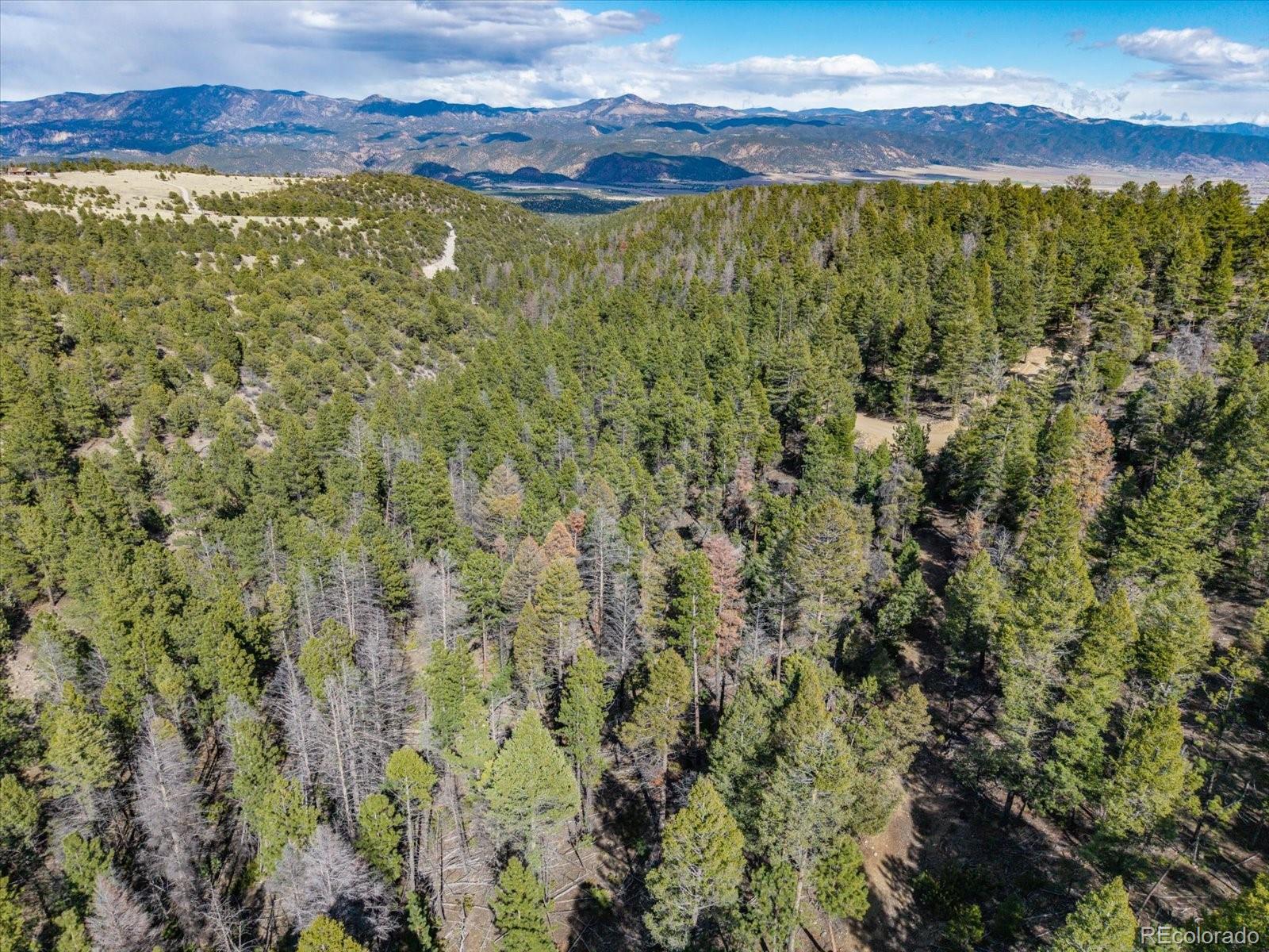 Tbd County Road 251 Salida CO 81201