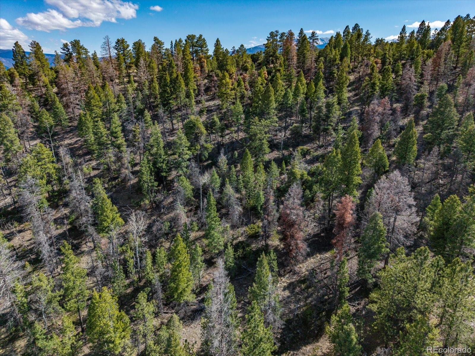 Tbd County Road 251 Salida CO 81201