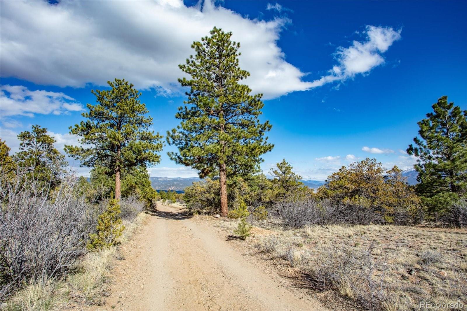 Tbd County Road 251 Salida CO 81201