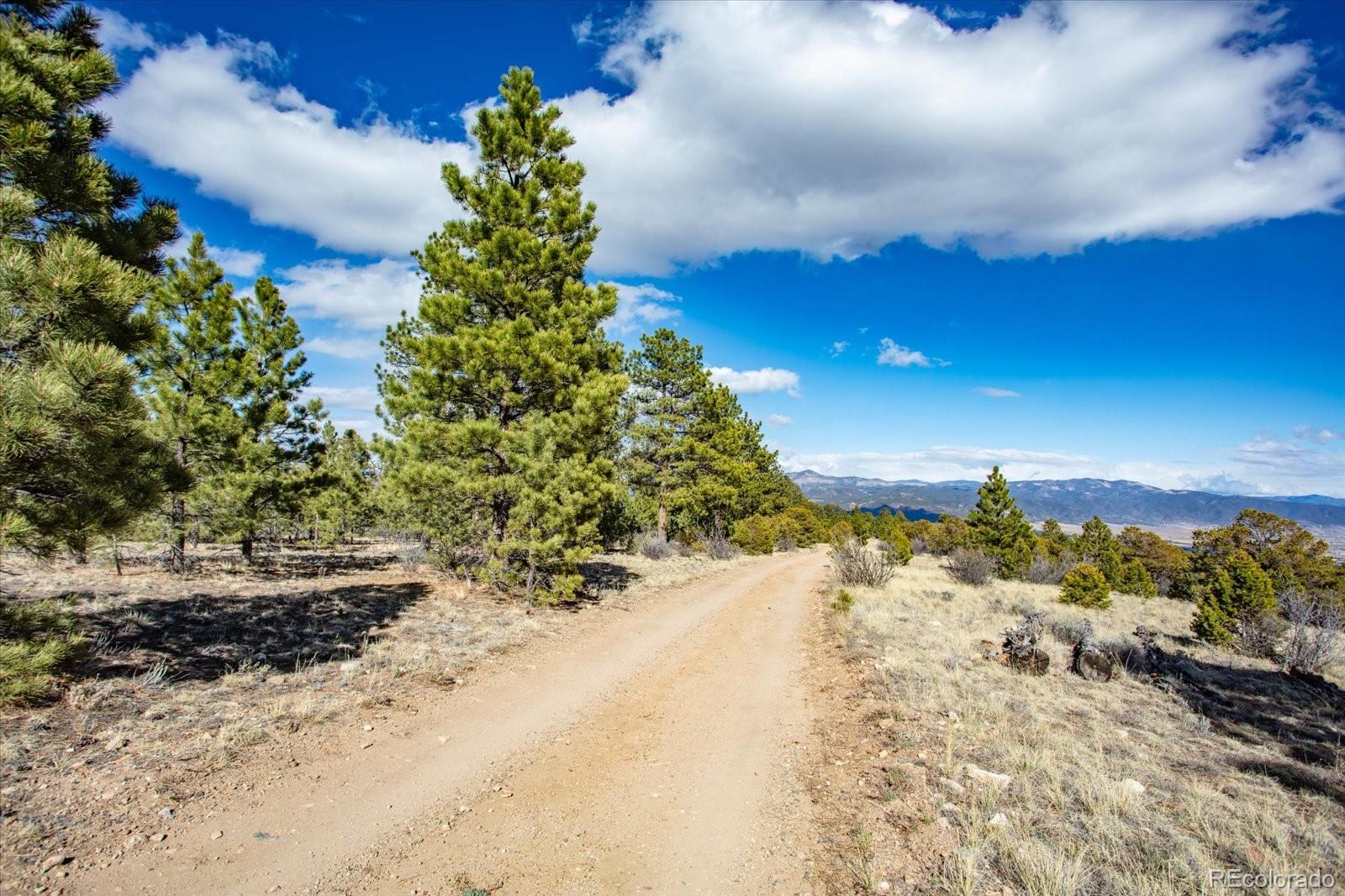 Tbd County Road 251 Salida CO 81201