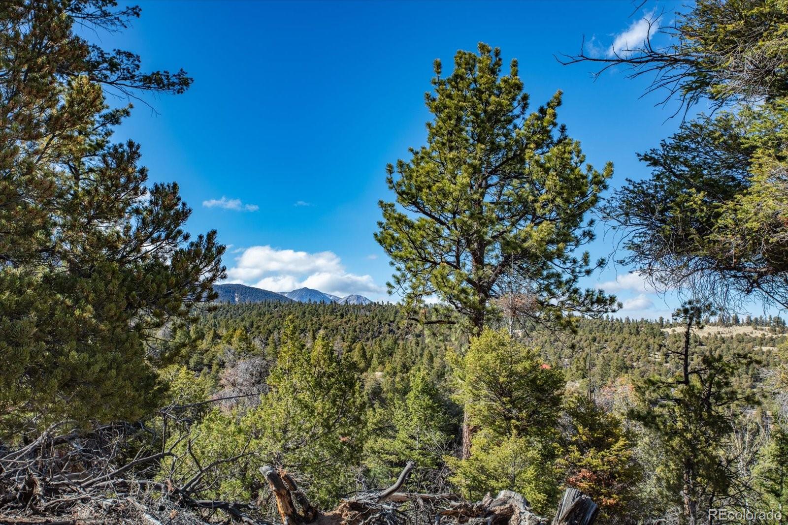 Tbd County Road 251 Salida CO 81201