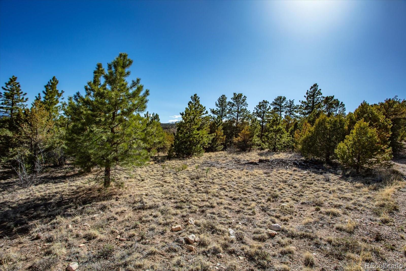 Tbd County Road 251 Salida CO 81201