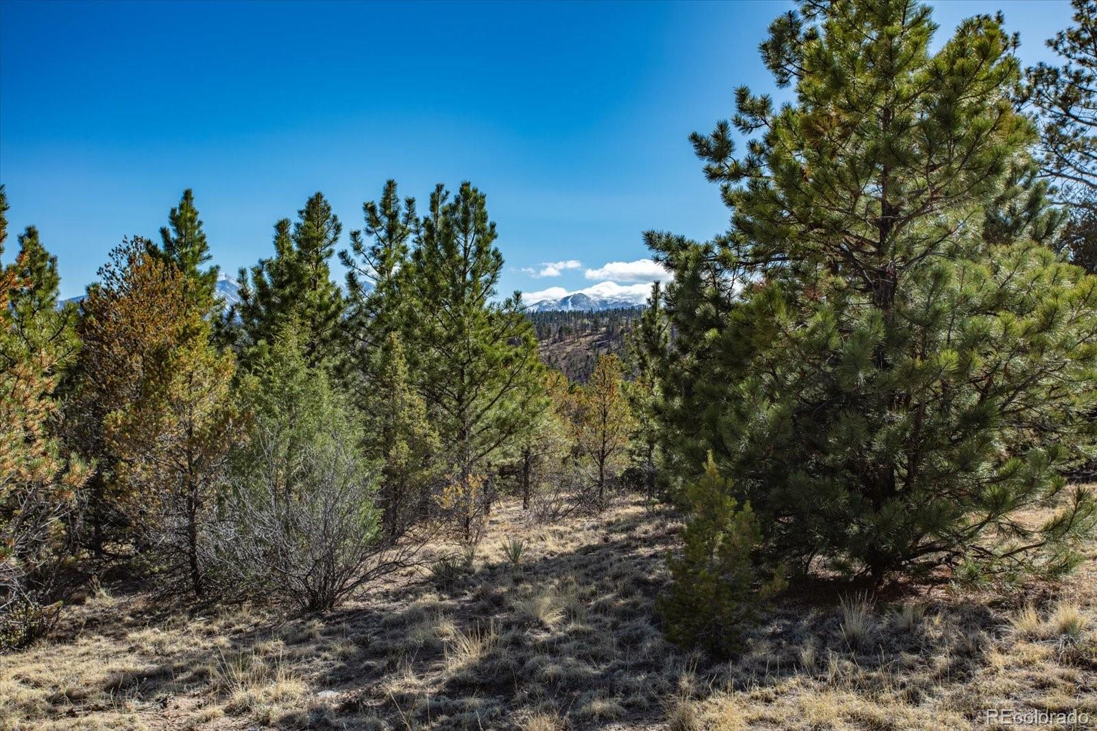 Tbd County Road 251 Salida CO 81201