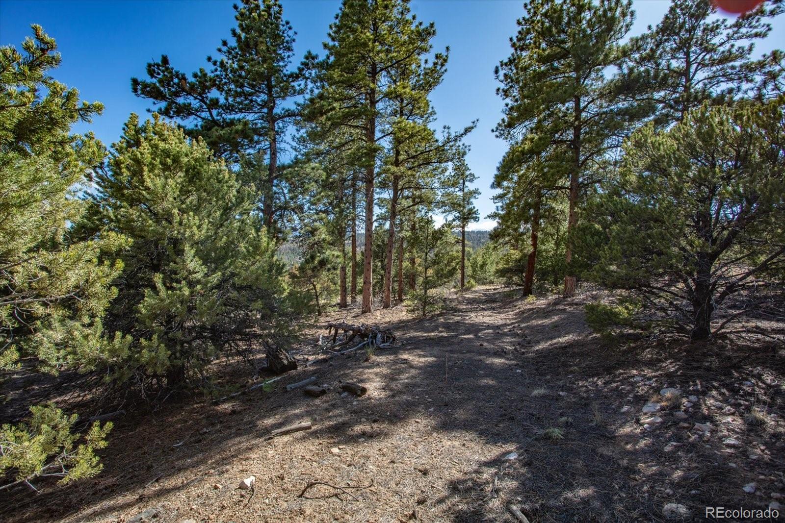 Tbd County Road 251 Salida CO 81201