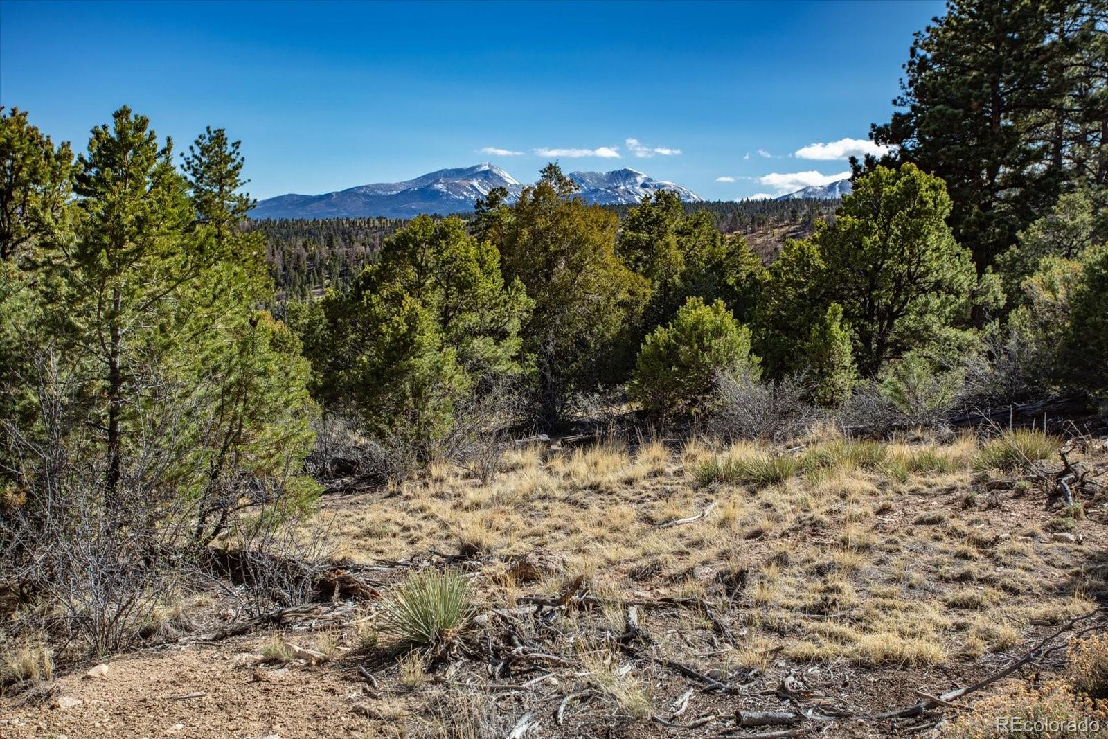 Tbd County Road 251 Salida CO 81201