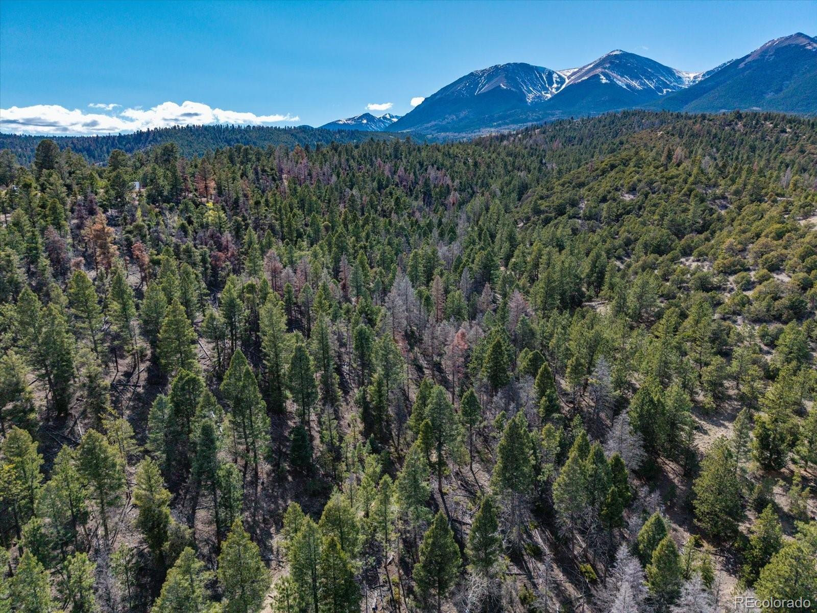 Tbd County Road 251 Salida CO 81201