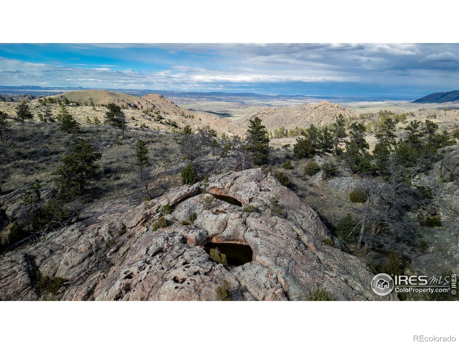 5 Deer Meadow Way Livermore CO 80536