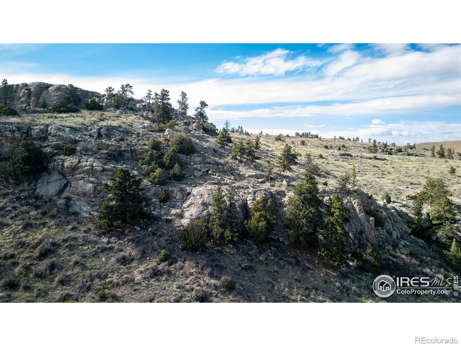 5 Deer Meadow Way Livermore CO 80536
