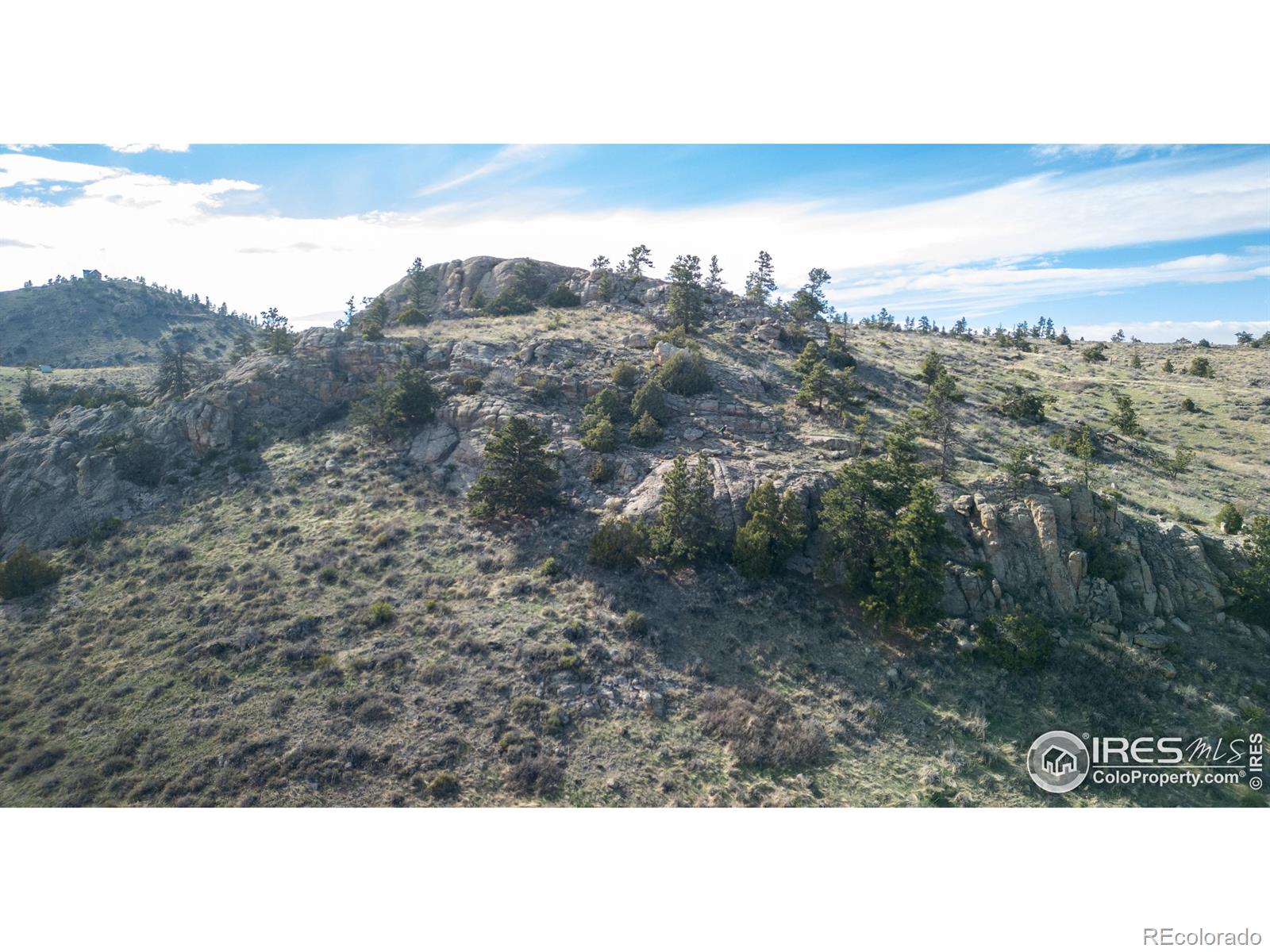 5 Deer Meadow Way Livermore CO 80536