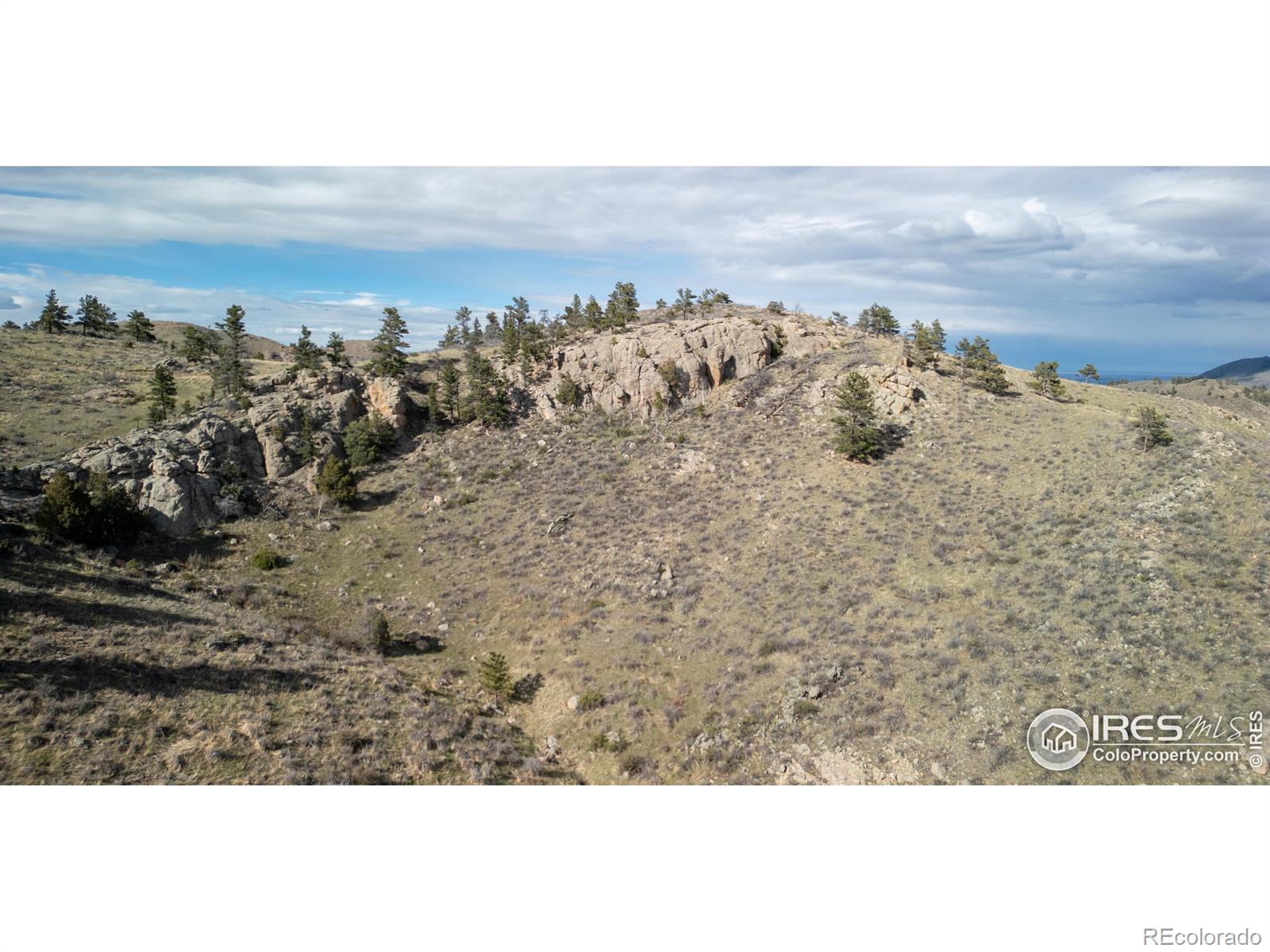 5 Deer Meadow Way Livermore CO 80536