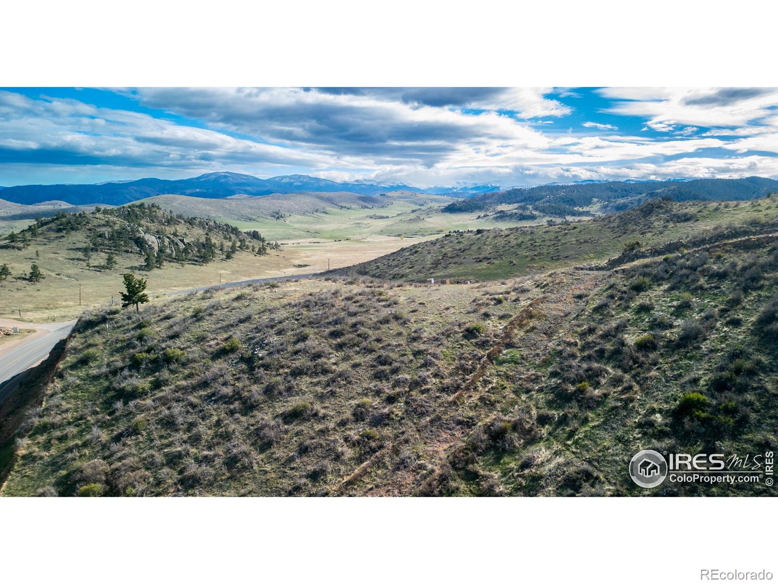 5 Deer Meadow Way Livermore CO 80536