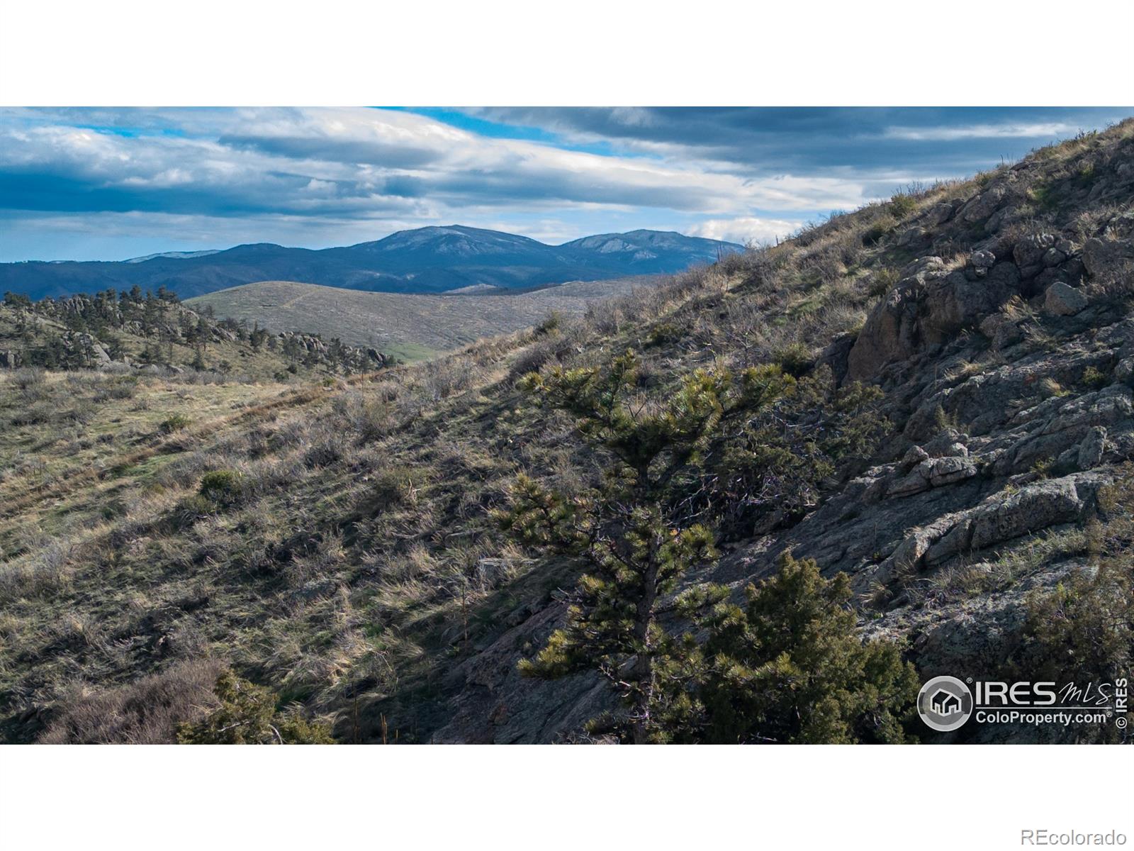 5 Deer Meadow Way Livermore CO 80536