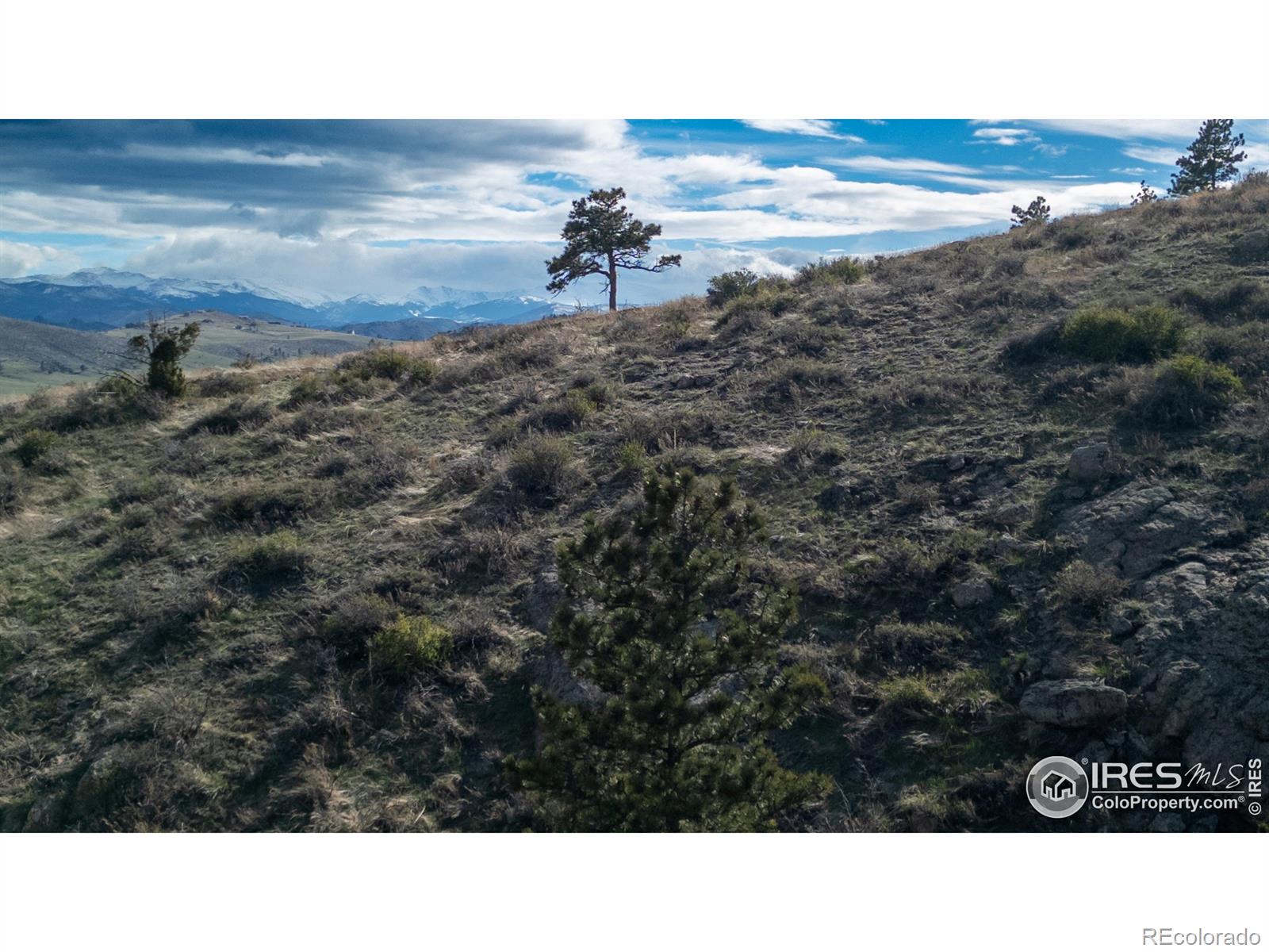 5 Deer Meadow Way Livermore CO 80536