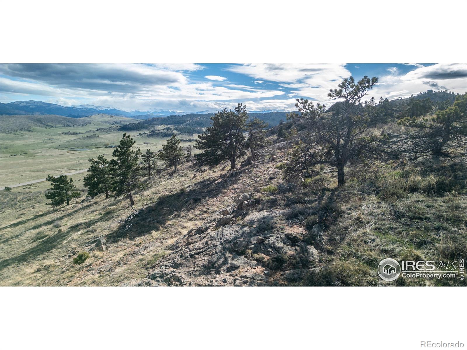 5 Deer Meadow Way Livermore CO 80536