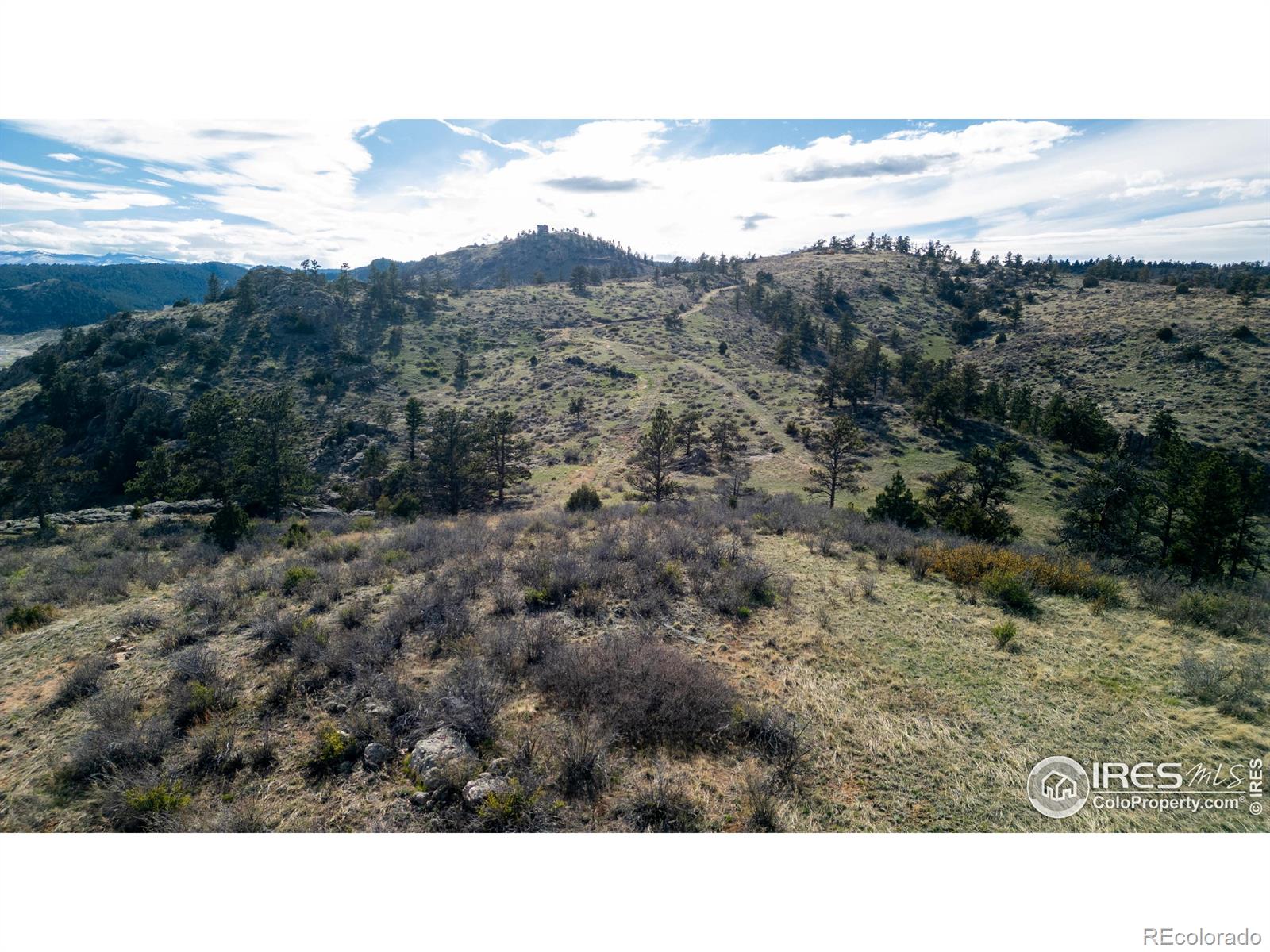 5 Deer Meadow Way Livermore CO 80536