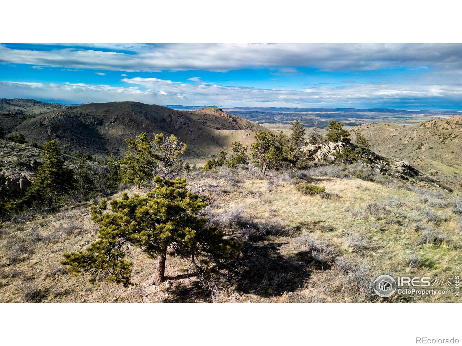 5 Deer Meadow Way Livermore CO 80536