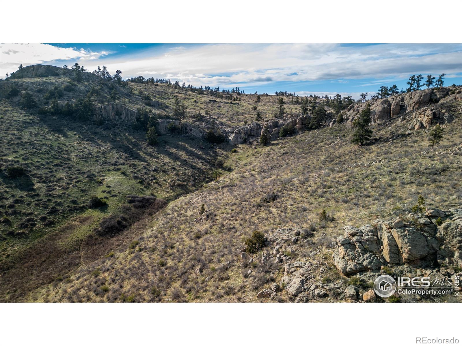 5 Deer Meadow Way Livermore CO 80536