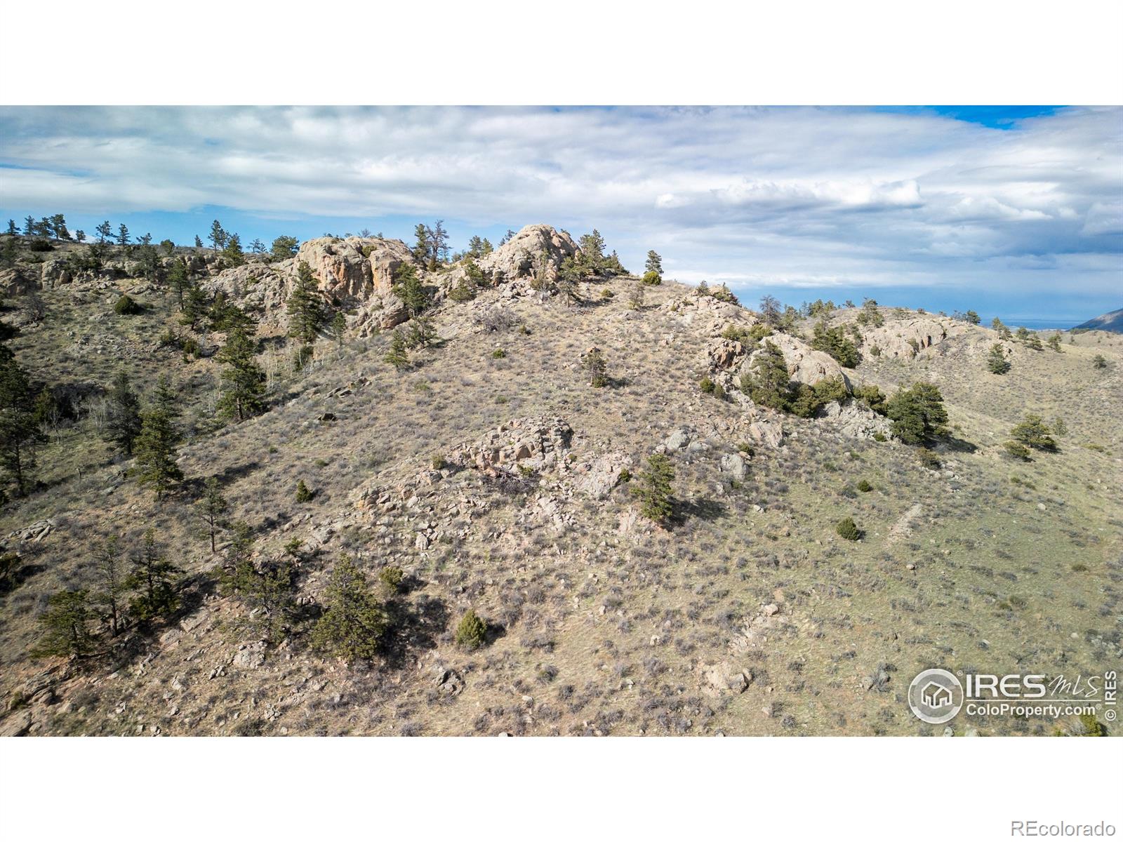 5 Deer Meadow Way Livermore CO 80536