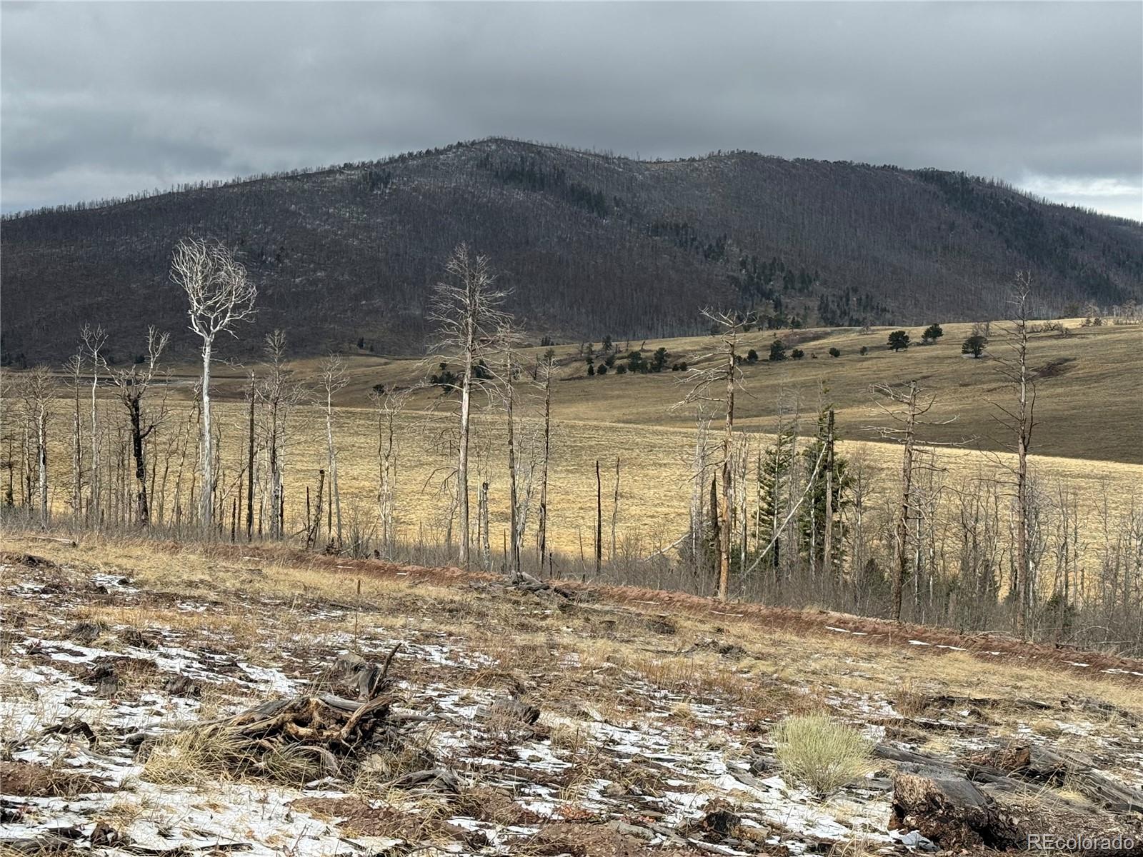 Lot 2415 Petito Drive Fort Garland CO 81133