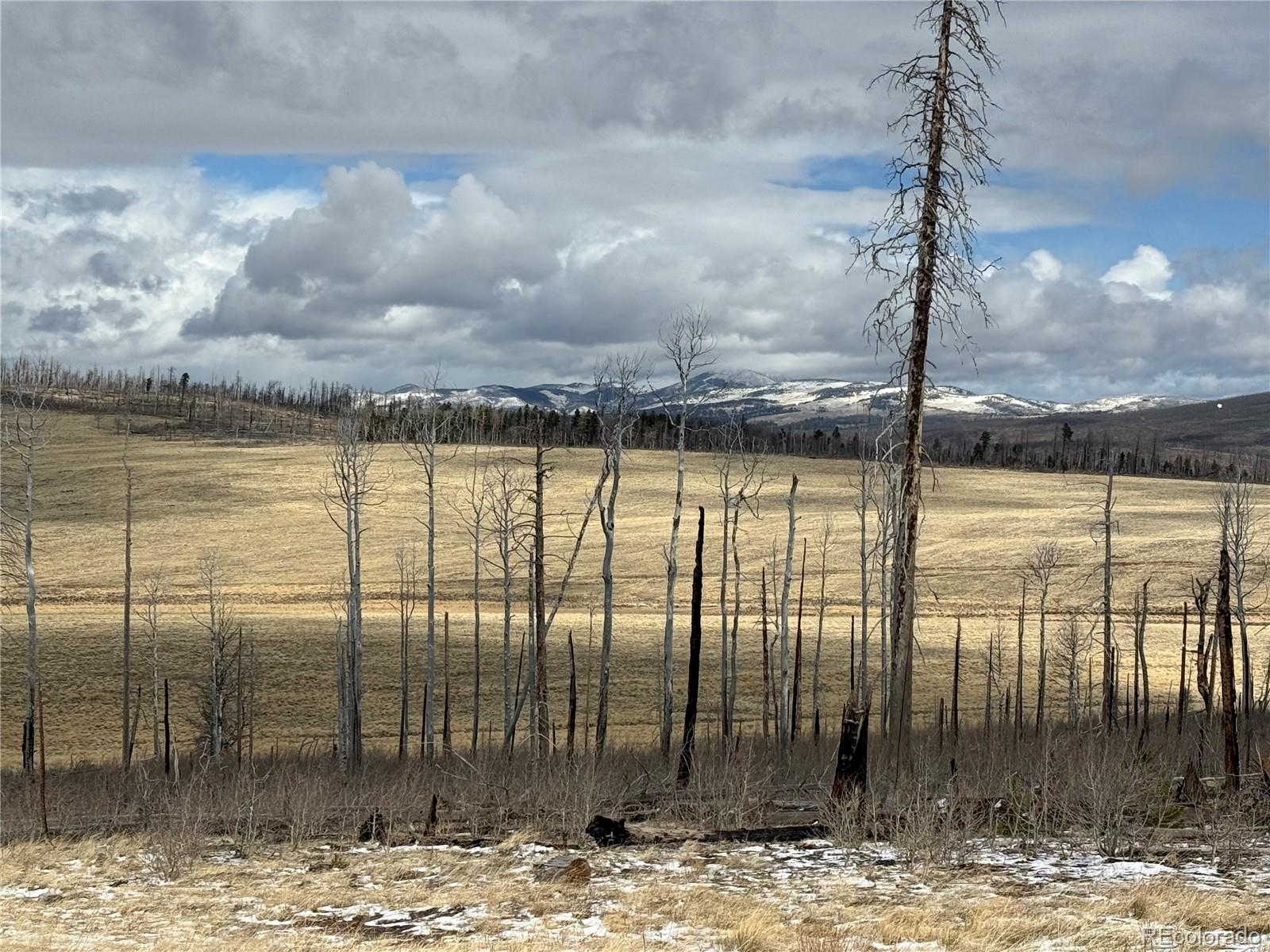 Lot 2415 Petito Drive Fort Garland CO 81133