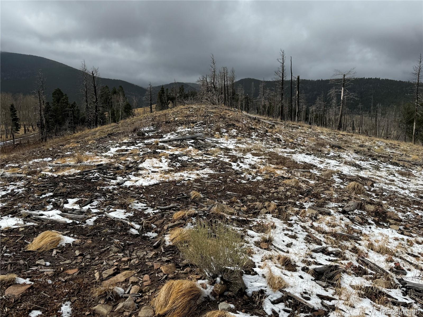 Lot 2415 Petito Drive Fort Garland CO 81133