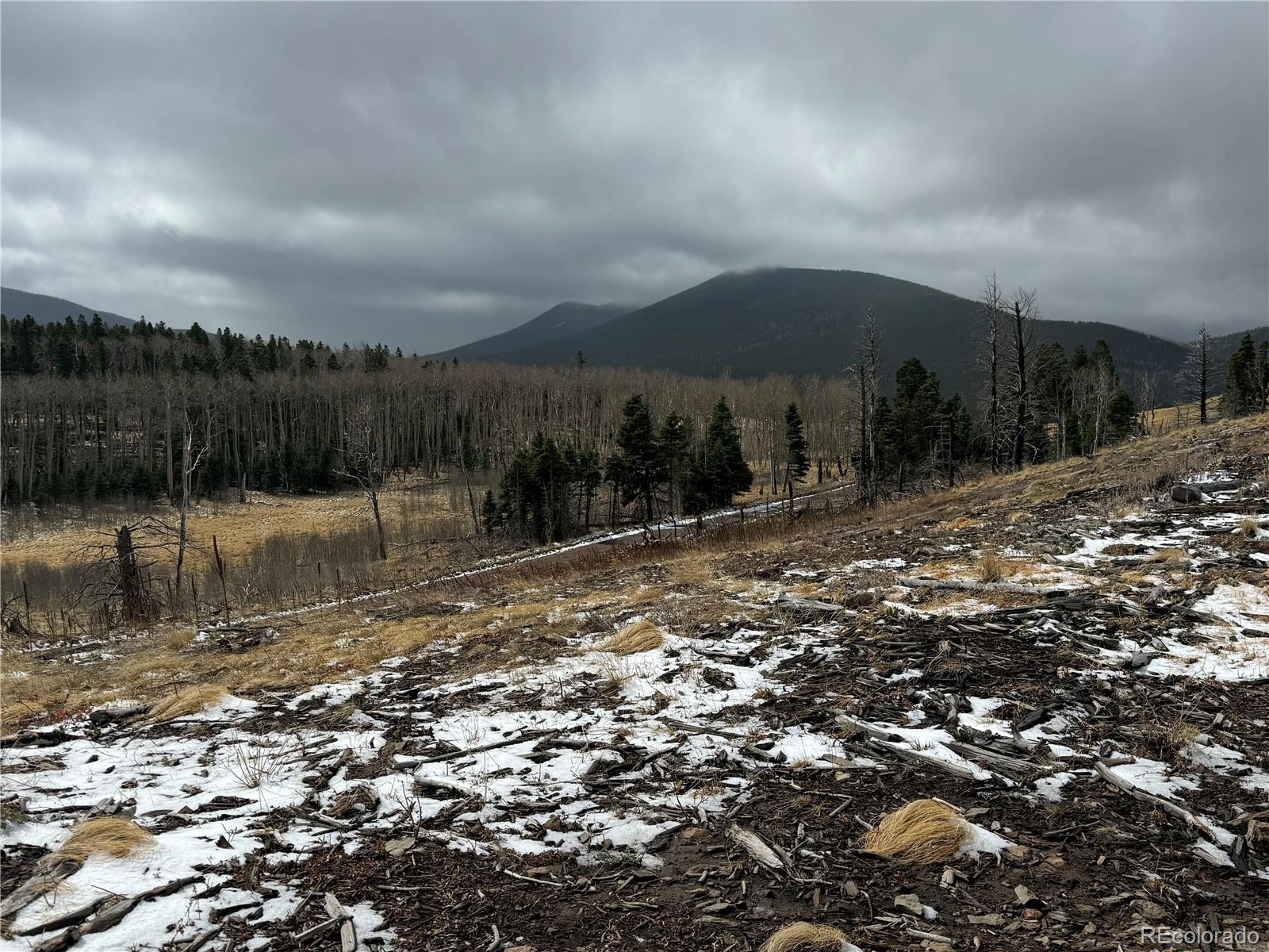 Lot 2415 Petito Drive Fort Garland CO 81133