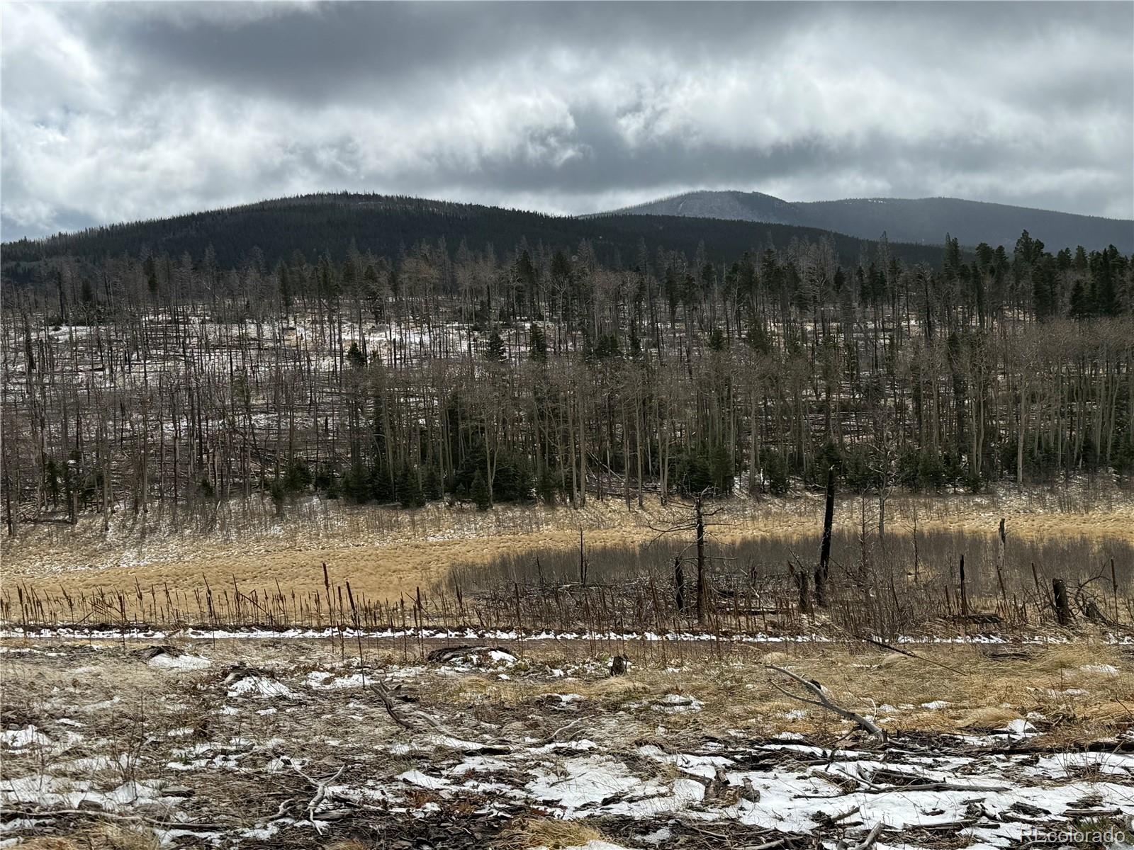 Lot 2415 Petito Drive Fort Garland CO 81133