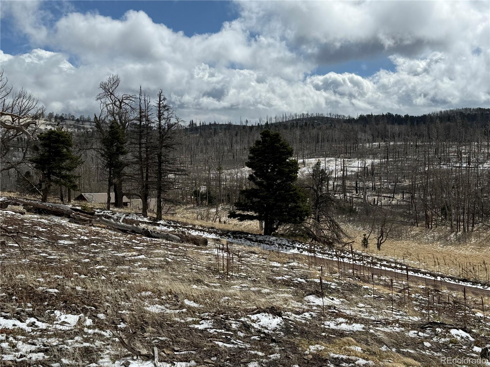 Lot 2415 Petito Drive Fort Garland CO 81133