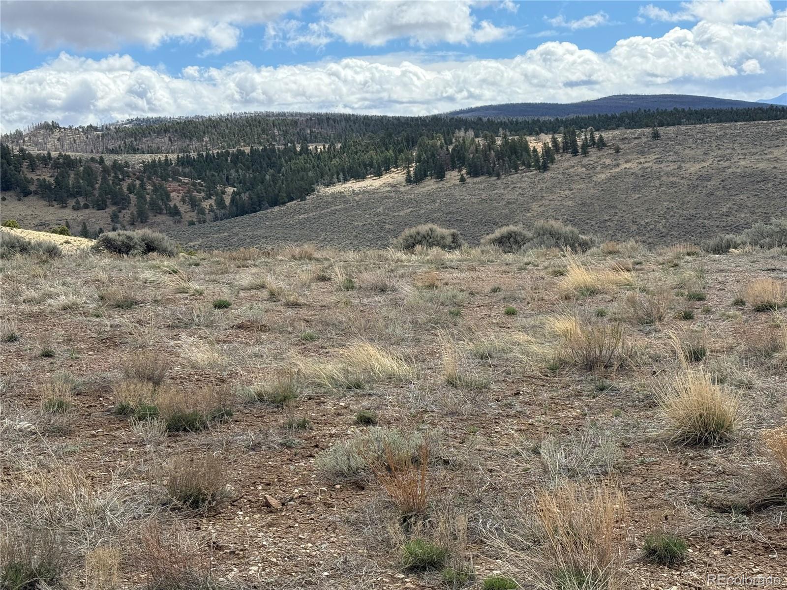Lot 2415 Petito Drive Fort Garland CO 81133