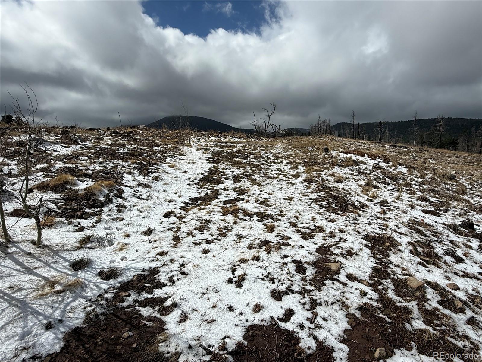 Lot 2415 Petito Drive Fort Garland CO 81133