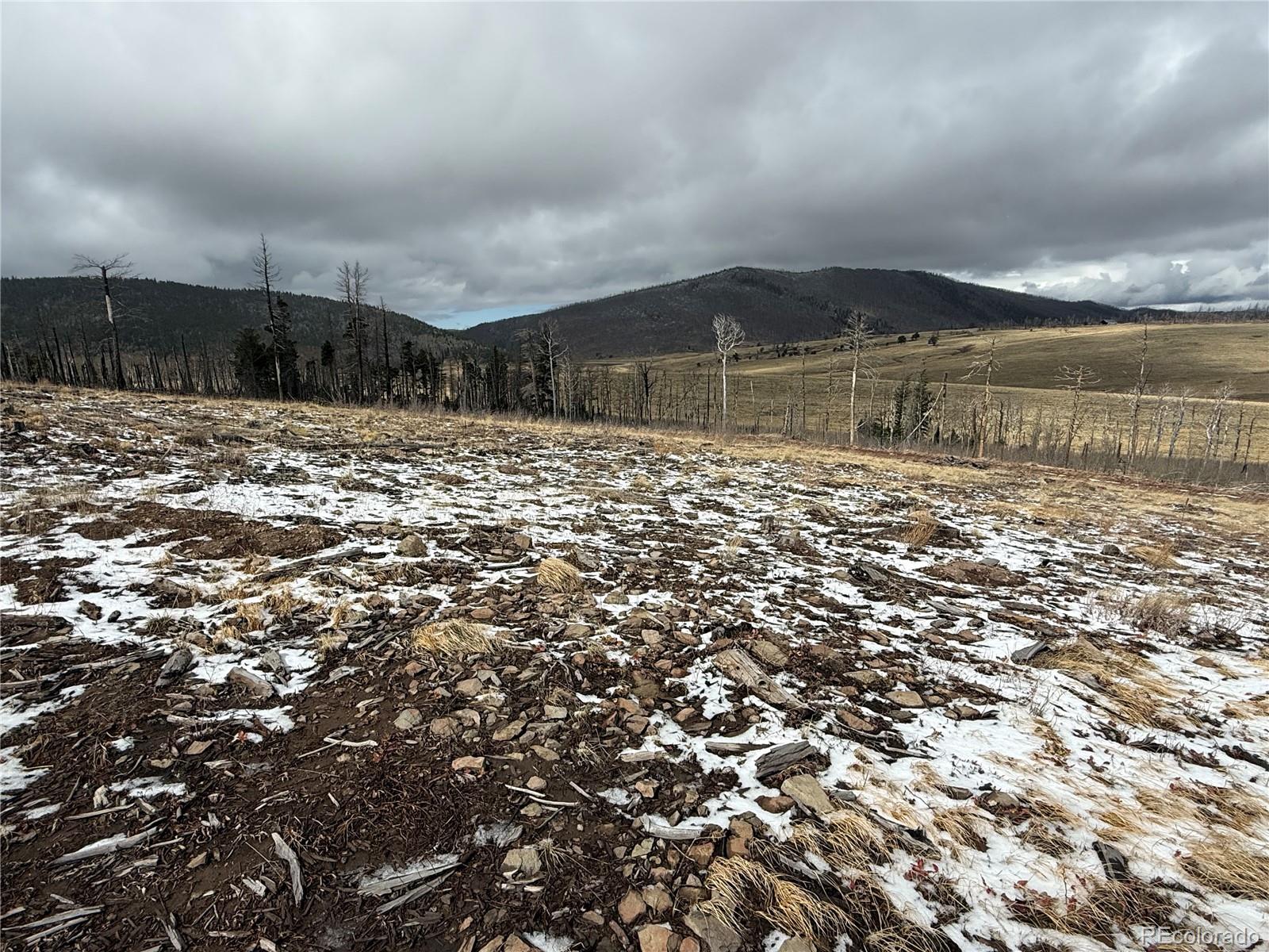 Lot 2415 Petito Drive Fort Garland CO 81133