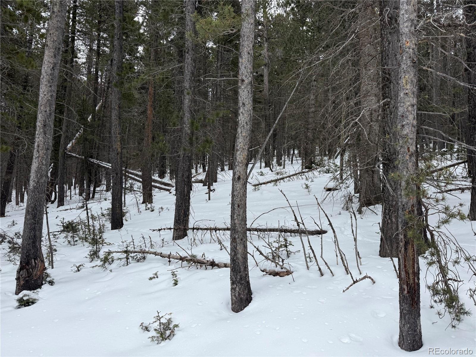 Lot 2759 Purnell Lane Fort Garland CO 81133