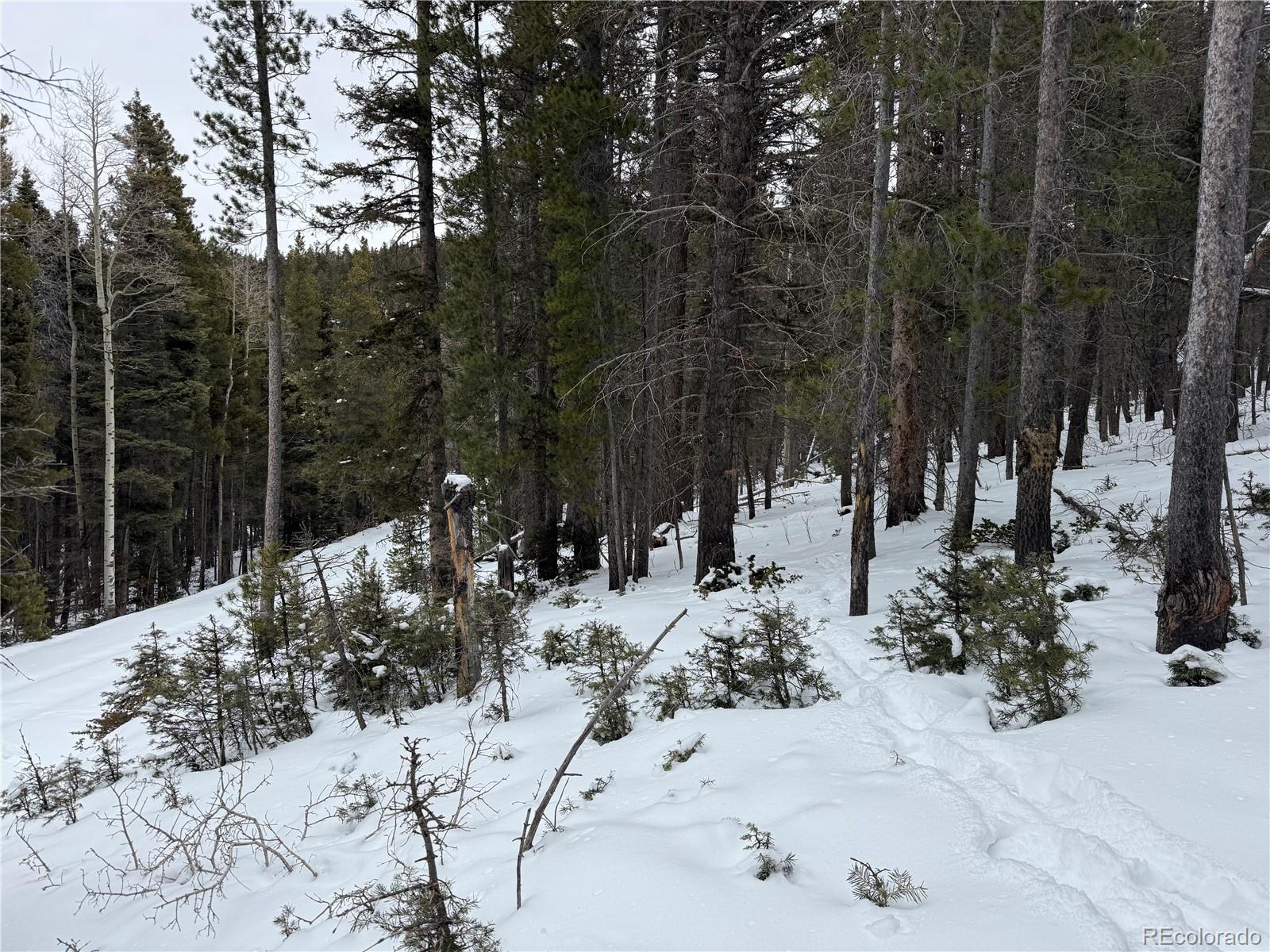 Lot 2759 Purnell Lane Fort Garland CO 81133