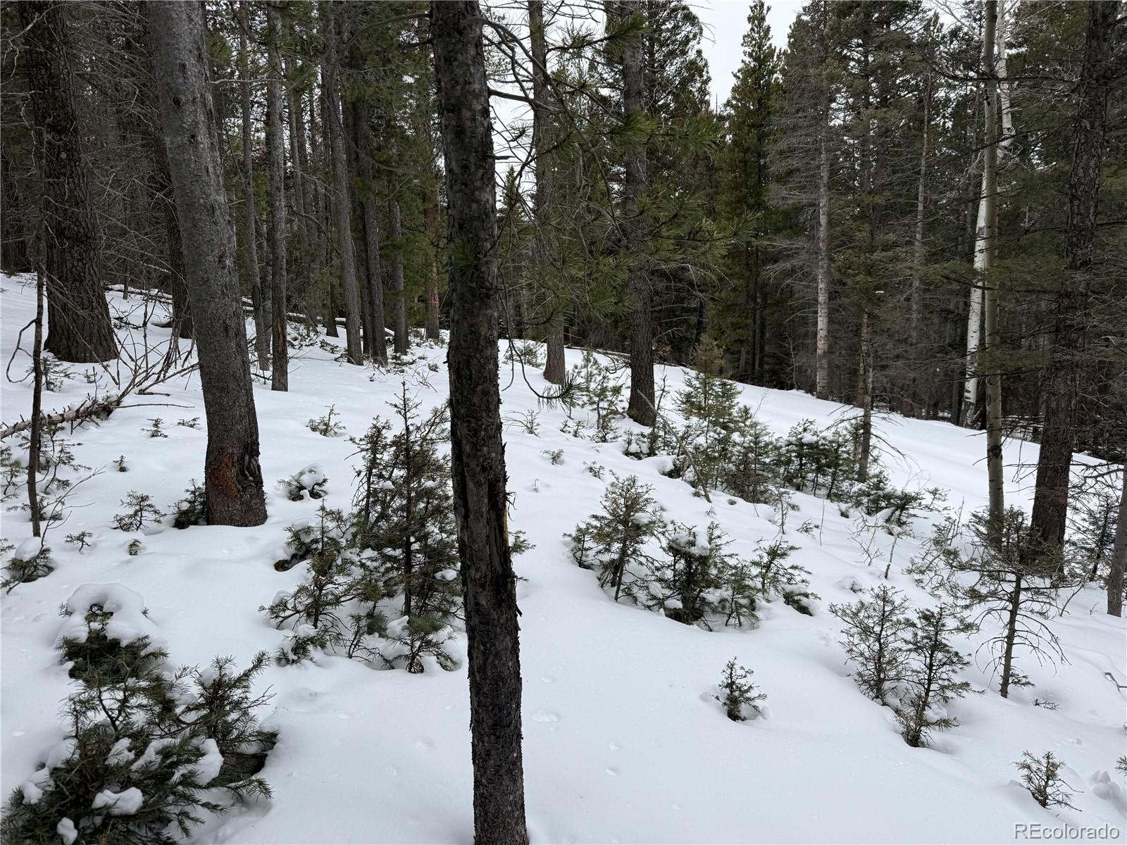 Lot 2759 Purnell Lane Fort Garland CO 81133
