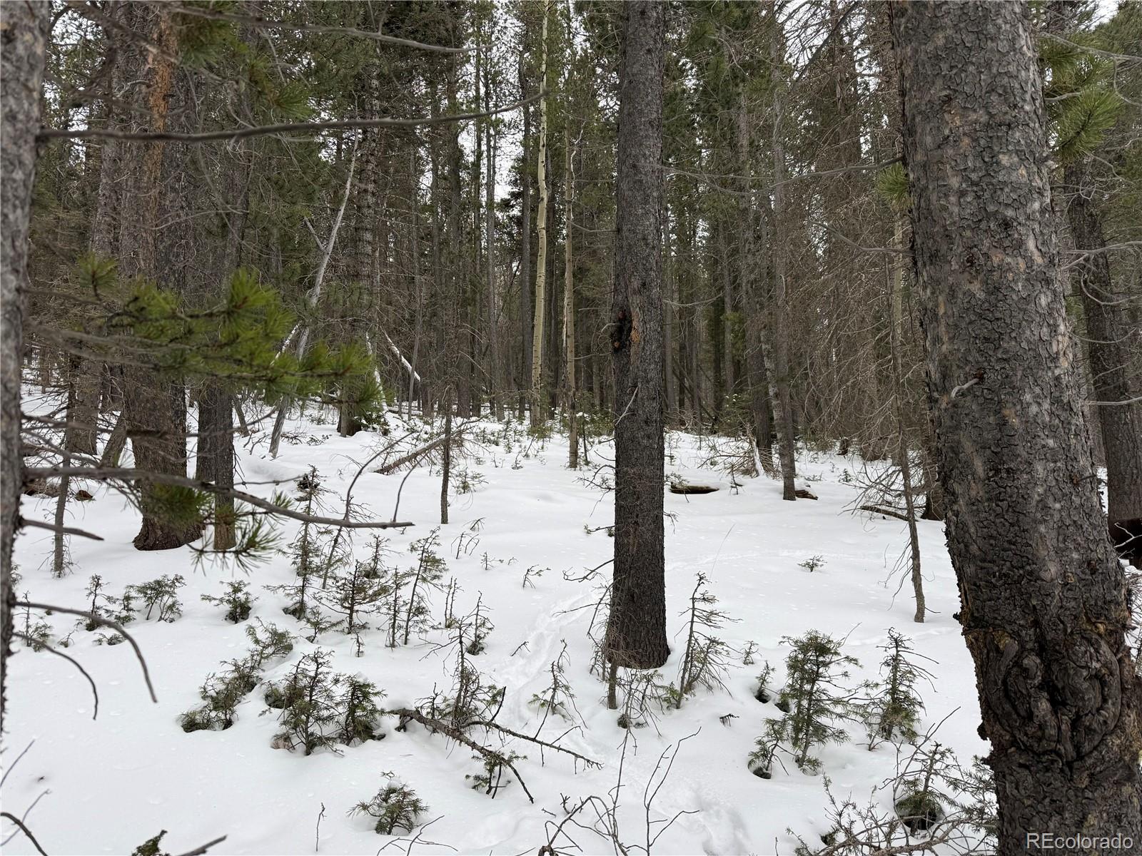 Lot 2759 Purnell Lane Fort Garland CO 81133