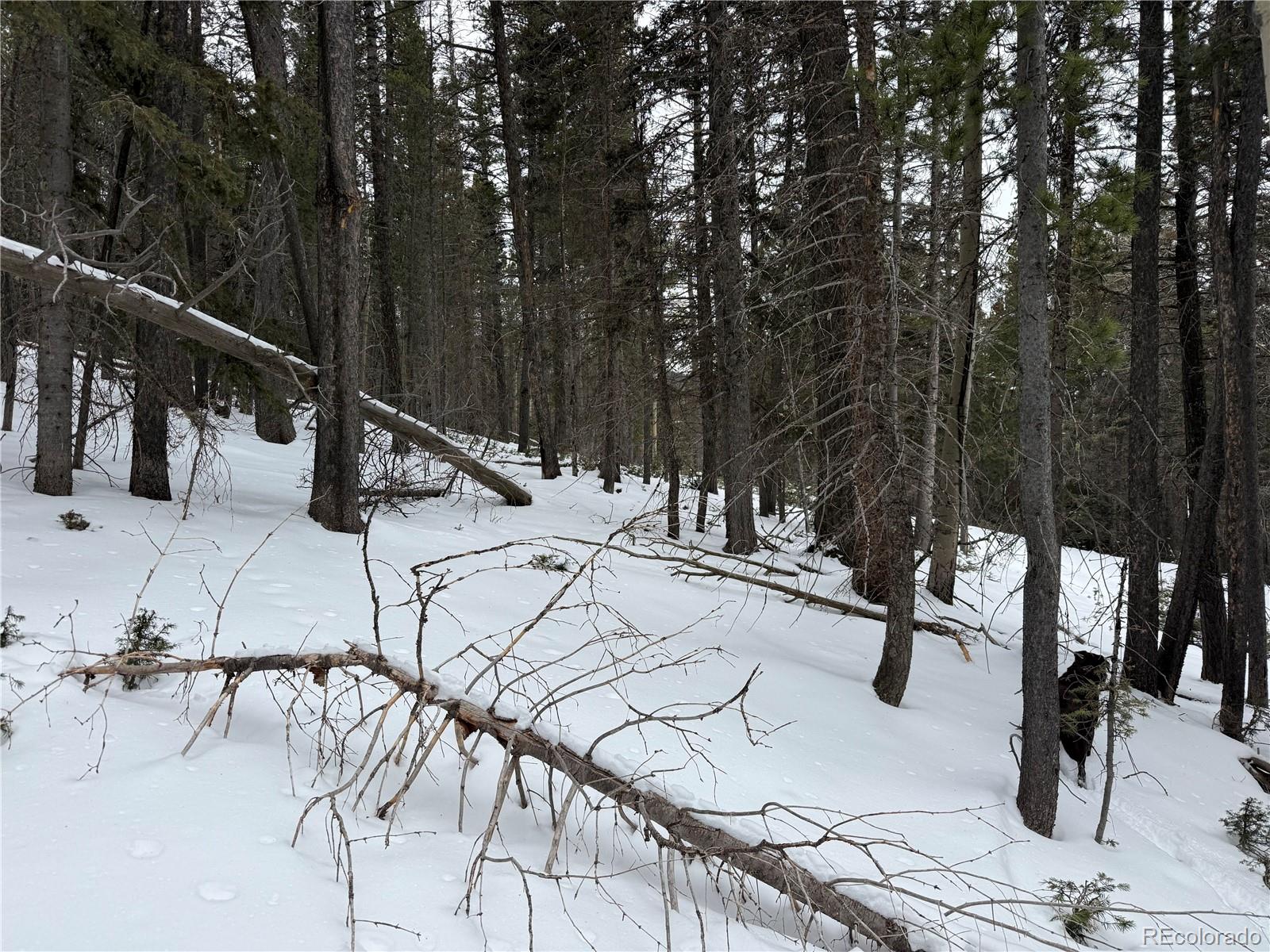 Lot 2759 Purnell Lane Fort Garland CO 81133